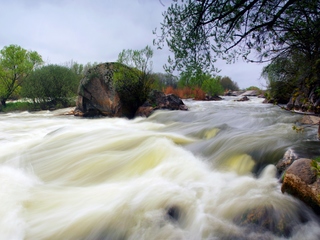 Весна на Южном Буге