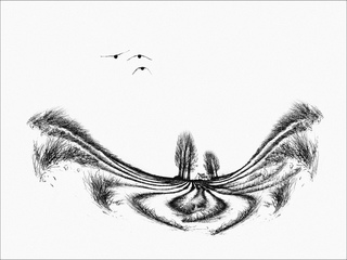 Isendica Experiment 2