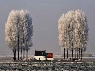 Zeeuws winterlandschap