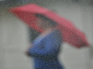 Regendruppels op raam