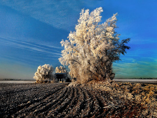 Winterlandschap Oranjedijk
