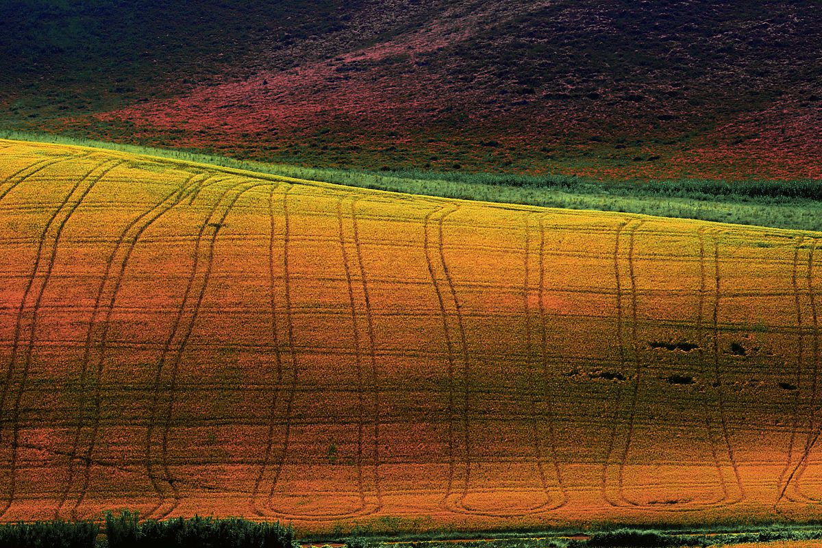 Tuscan countryside 2