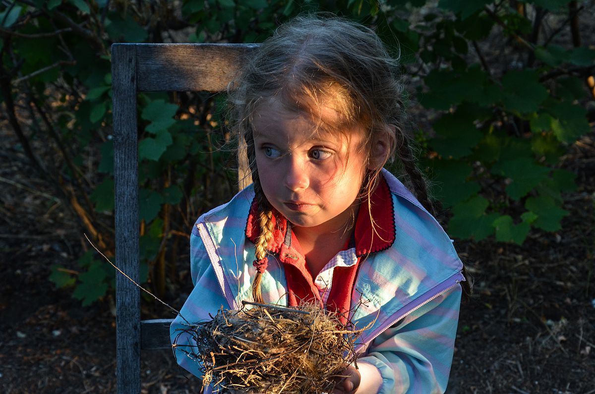 Птенцы улетели...