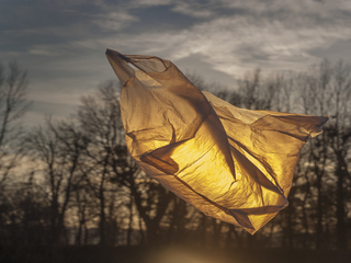 Найпростіші форми