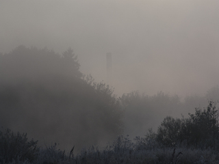 Метаморфоза