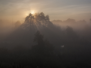 Пробудження