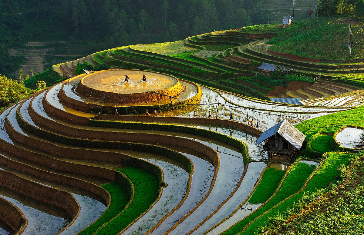 TERRACES IN MU CANG CHAI 9 