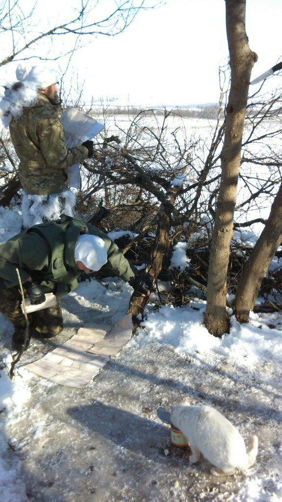 Два розвідники та кіт !!!