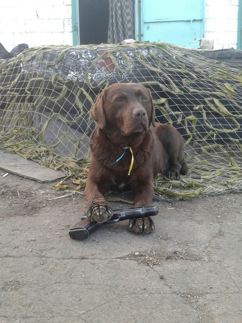 Містер Браун !!!