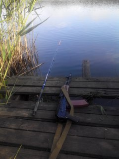 моя рыбалка