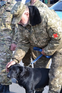 Ми вдома, друже!