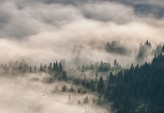 Літаючи над...