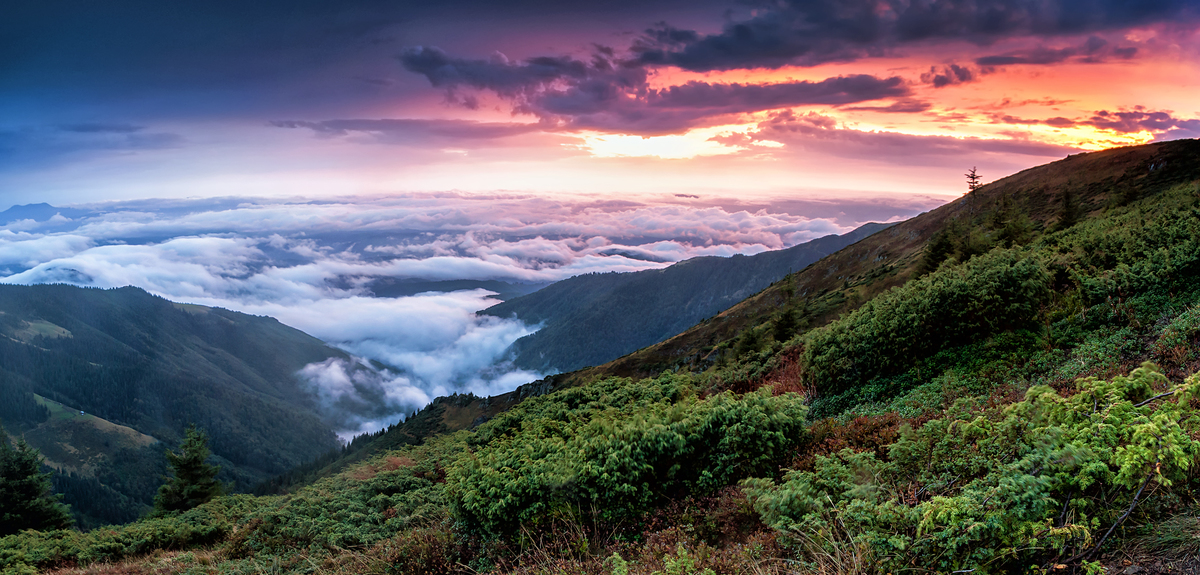 Вітряне сходження.