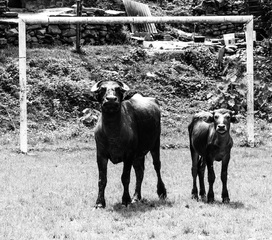 надежная защита