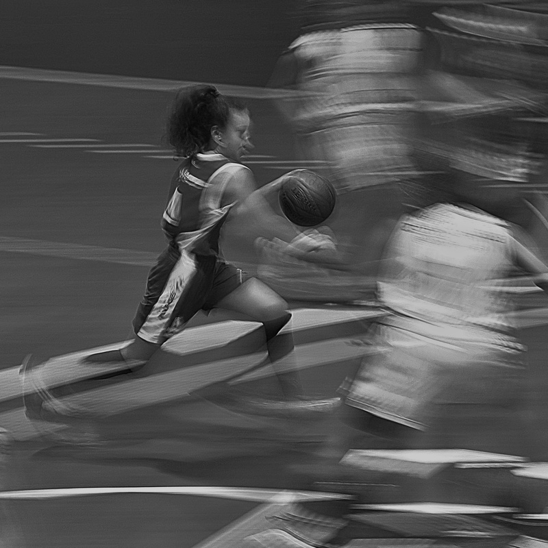 0810 Basket  2016 -4