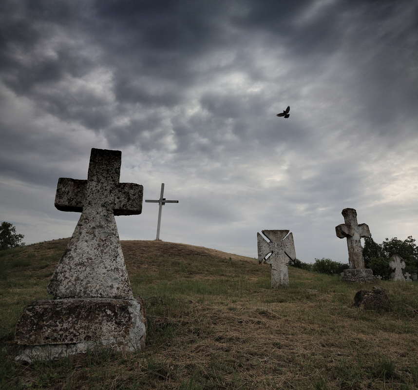 Shadows of forgotten ancestors
