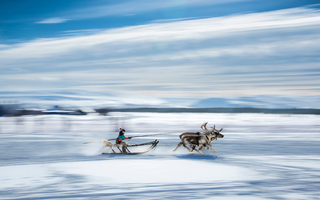 Faster than the wind