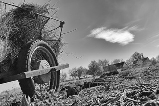 Знойная осень