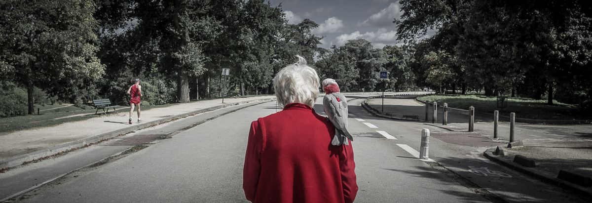 Булонский лес,2014