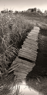 Bridge into the abyss