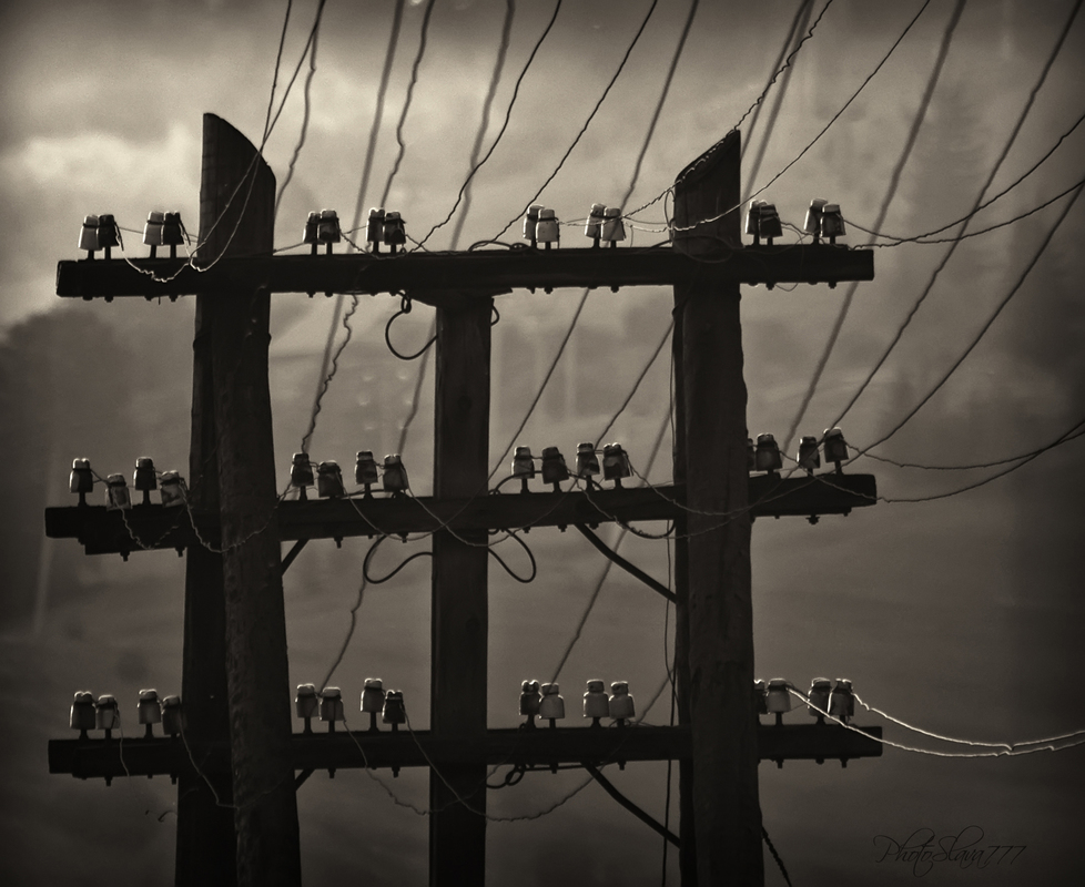 Дика енергія