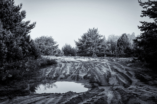 Танкова дорога