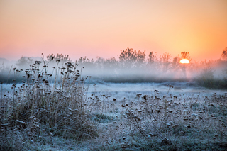Покровське сонце