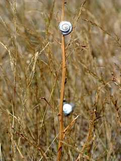 На высоте...