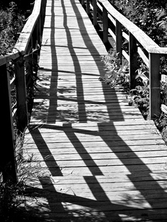 Параллели...