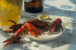 Чоловічий натюр