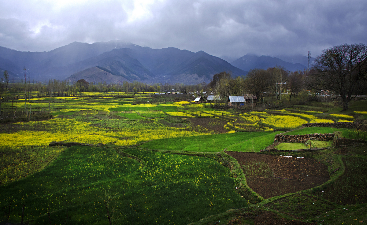 A Kashmiri Village