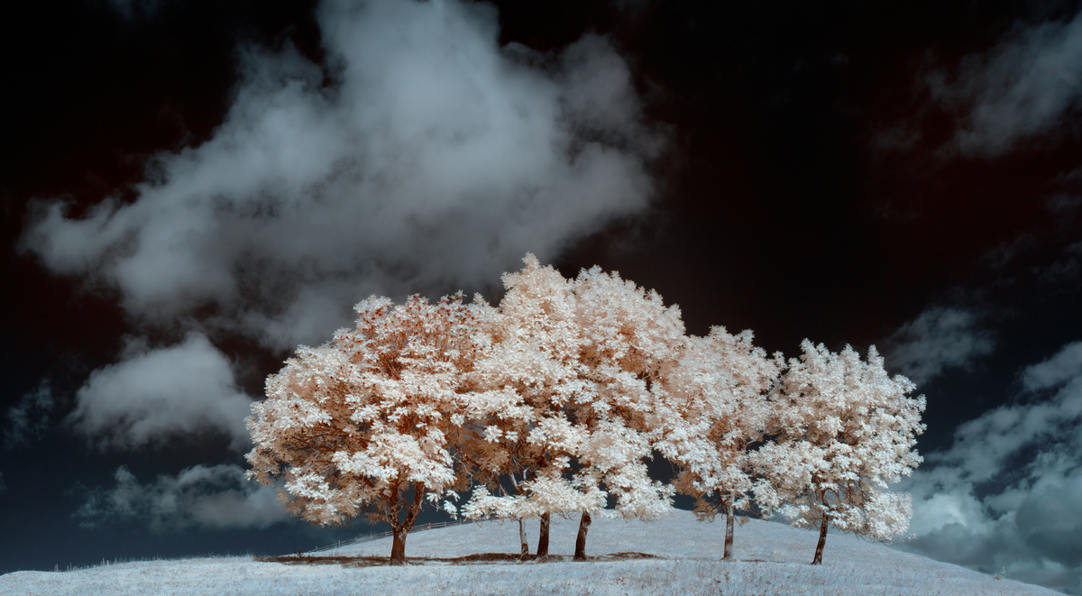 Невидимий світ
