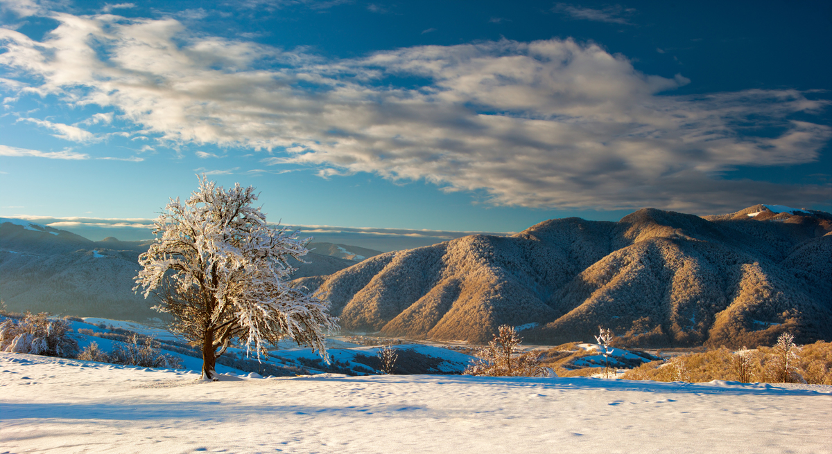 Перший сніг
