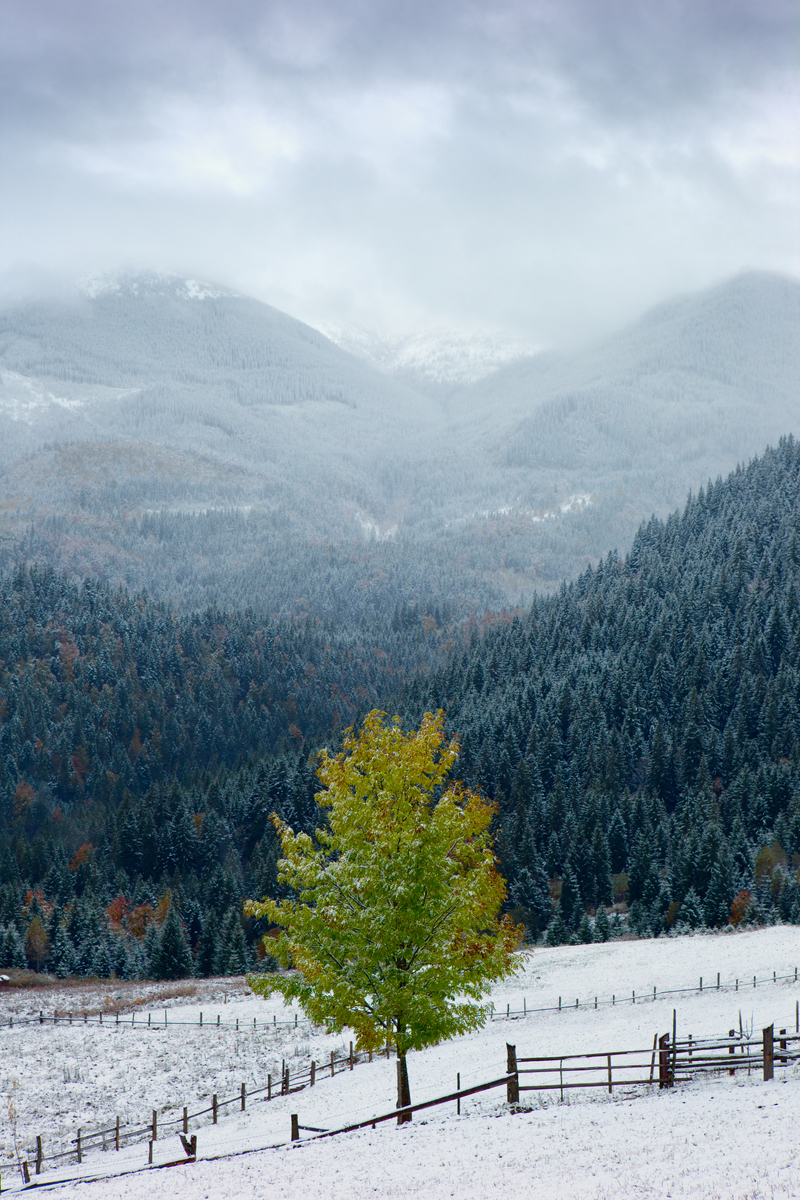 Самотність