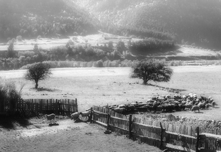 Возвращение домой