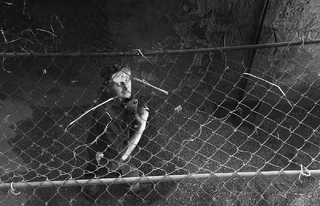 Очиститель зерна