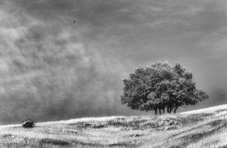 Перед ненастьем