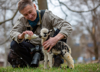 Фотосесі зачекає-обід за розкладом.