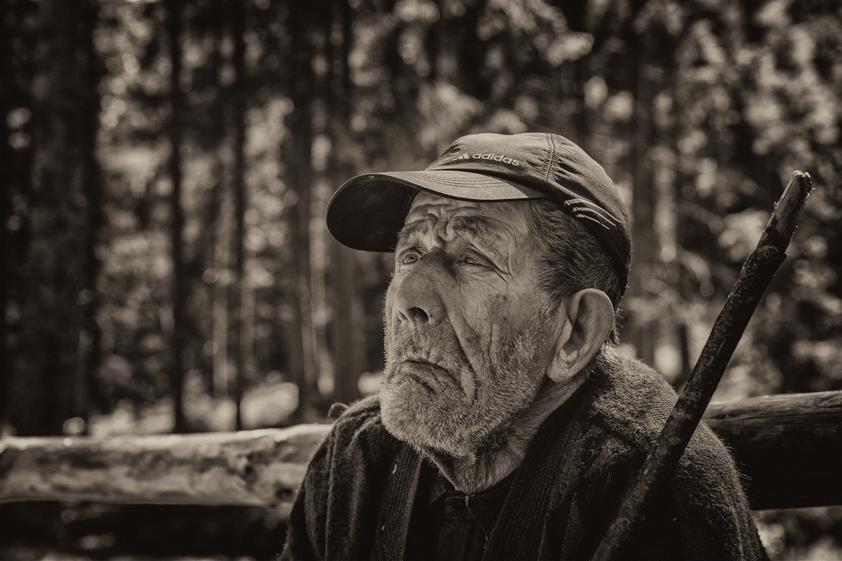 Думи мої думи.