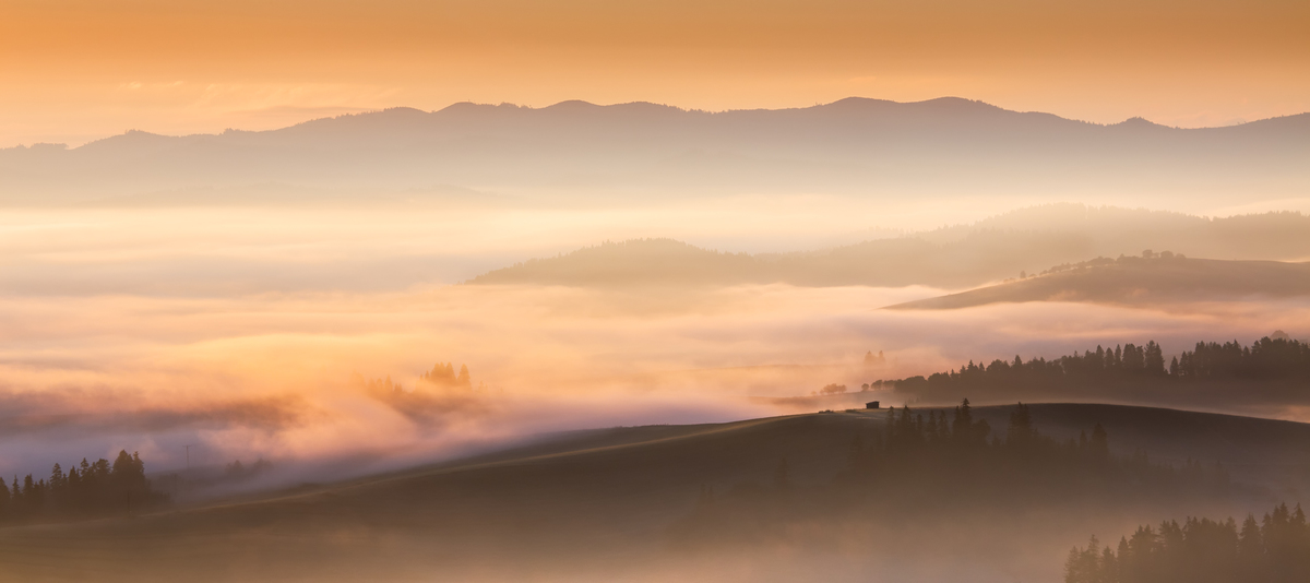 Morning Light, Poland