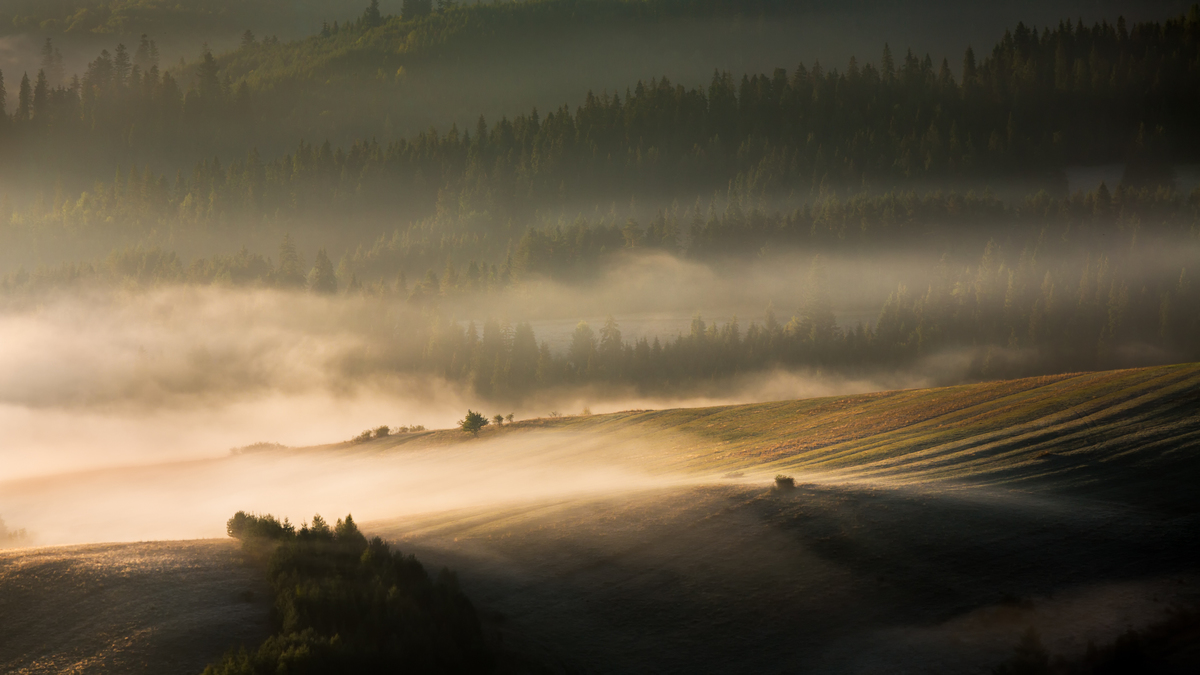 Rising Mist, Poland