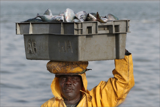SCARICATORE DI PORTO