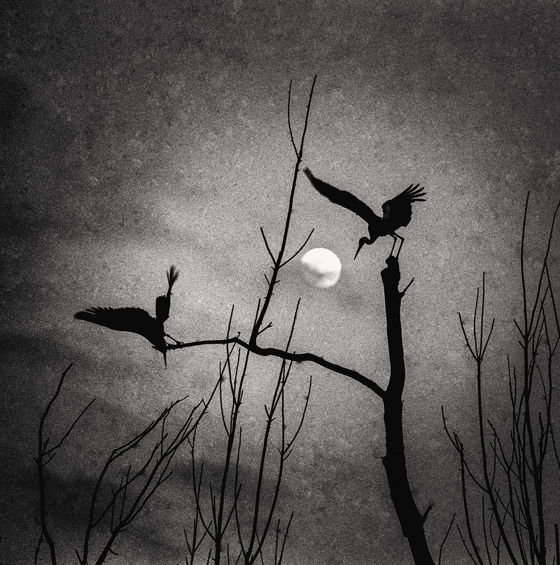 Гайстерова ніч