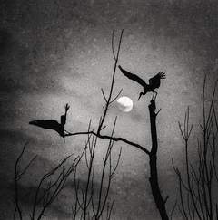 Гайстерова ніч