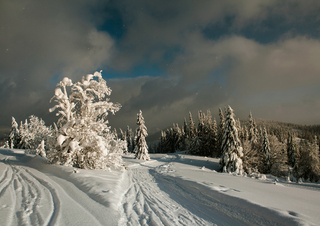 Сонячний сніг