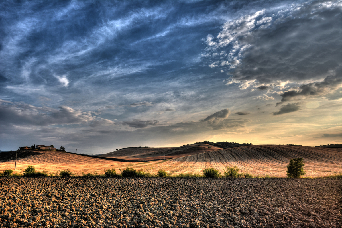 Landscape in Maremma n. 1