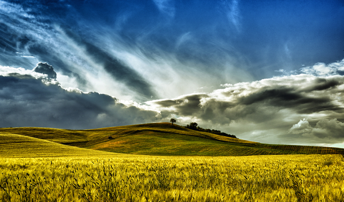 landscape in Maremma n. 2