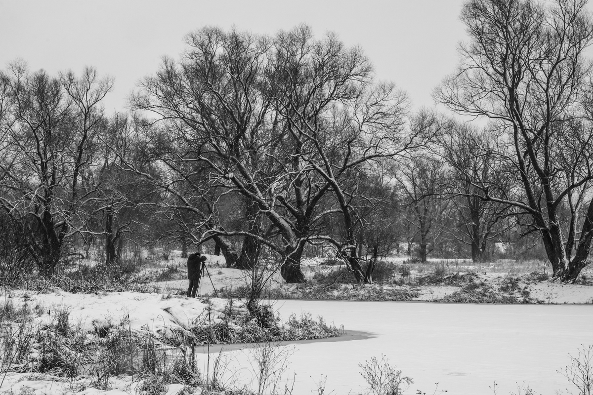 Охота пуще неволи...