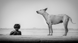 Mowgly from urban jungle