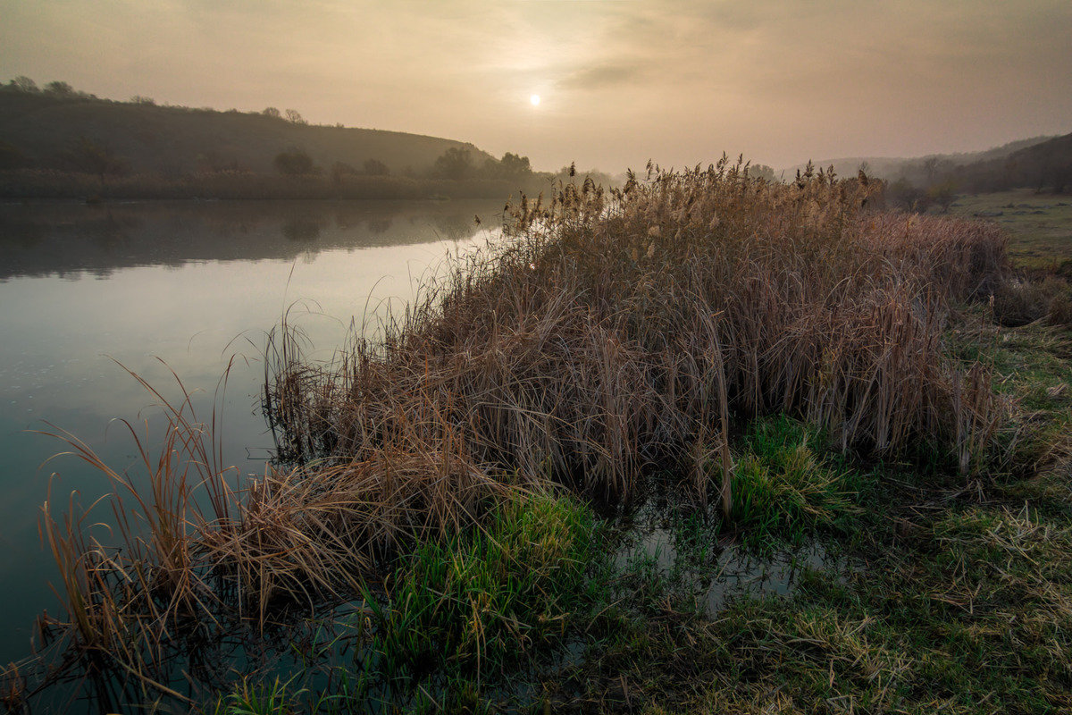 Оттенки утра